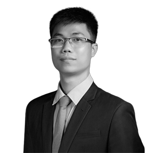 Ding Quang Long