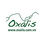 oxalis